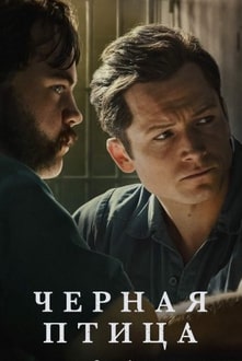 Постер сериала Черная птица