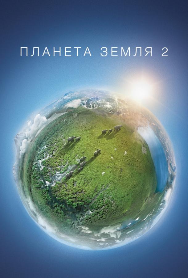 Постер сериала Планета Земля 2