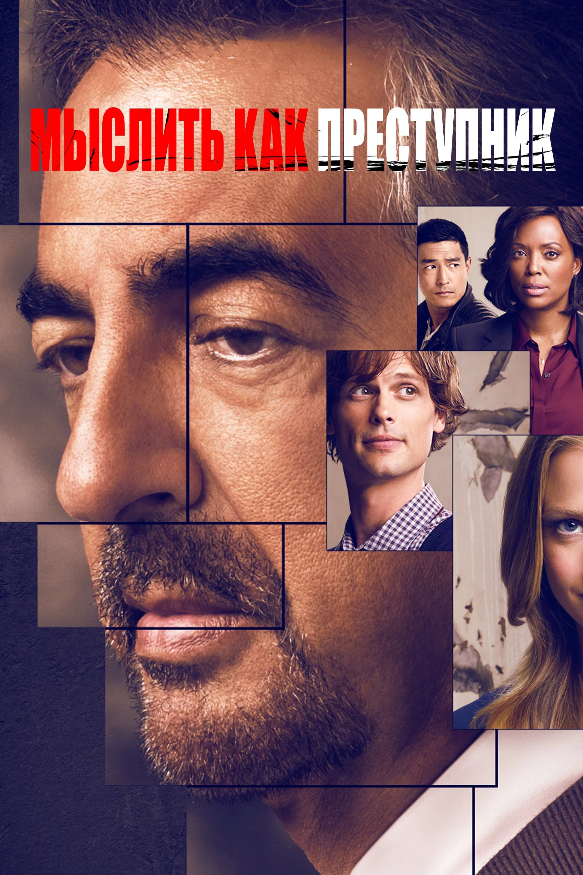 Постер сериала Мыслить как преступник