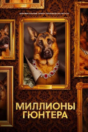 Постер сериала Миллионы Гюнтера