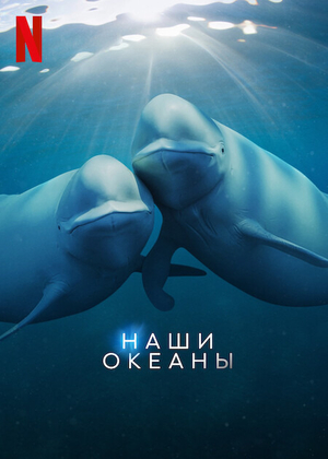 Постер сериала Наши океаны