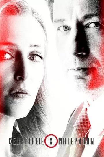 Постер сериала Секретные материалы