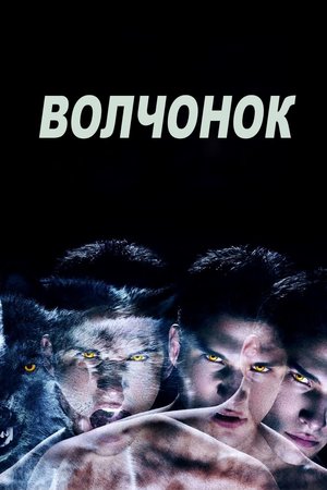 Постер сериала Оборотень
