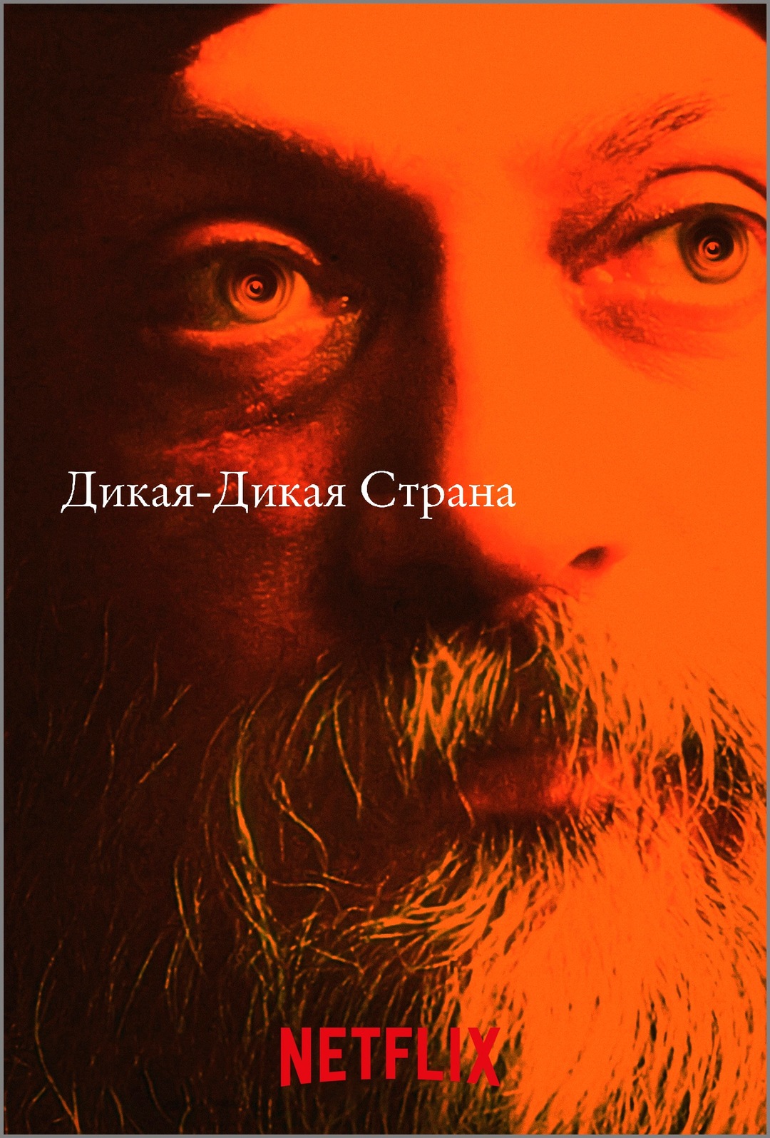 Постер сериала Дикая-дикая страна